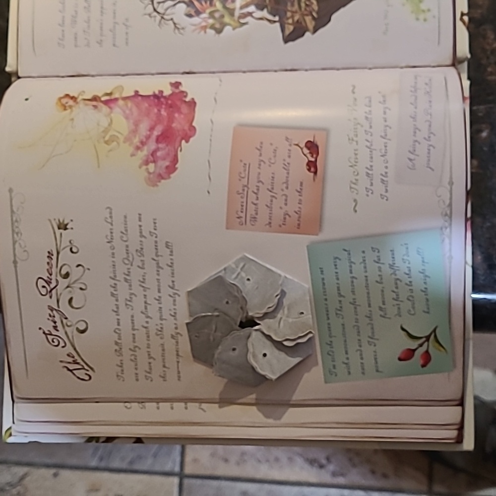Disney "The Hidden World of Fairies" book - Picture 15 of 16